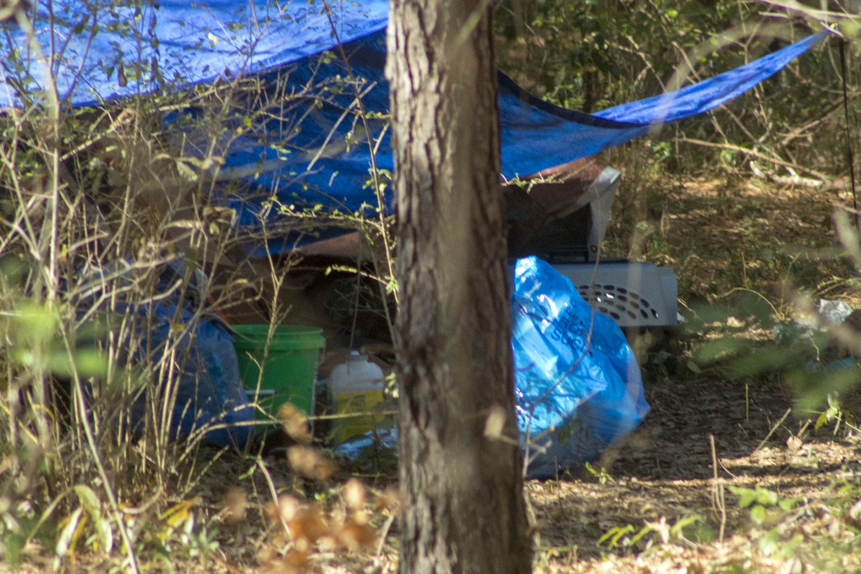 Tents in an encampment for the homeless in Southern Pines